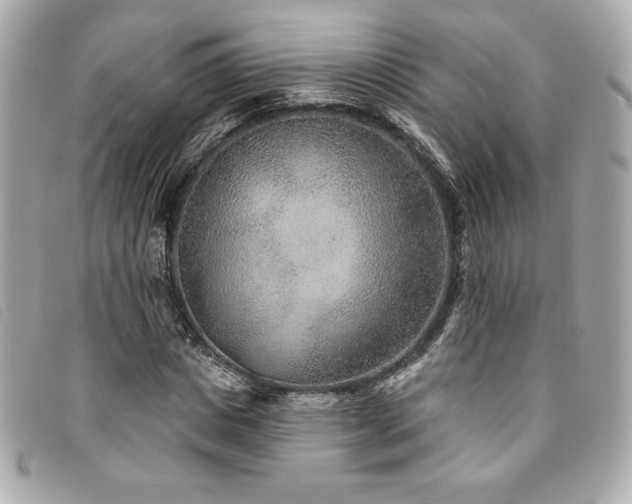 X0000094230825200710261254
