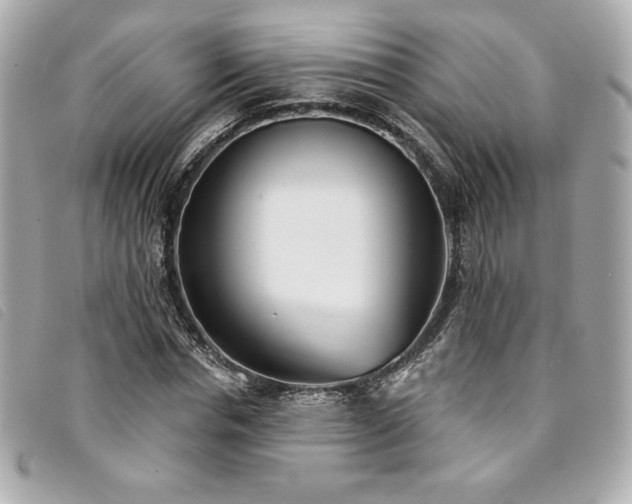 X0000094230826200710261254
