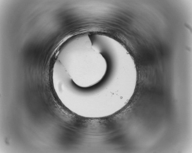 X0000094230828200710261254