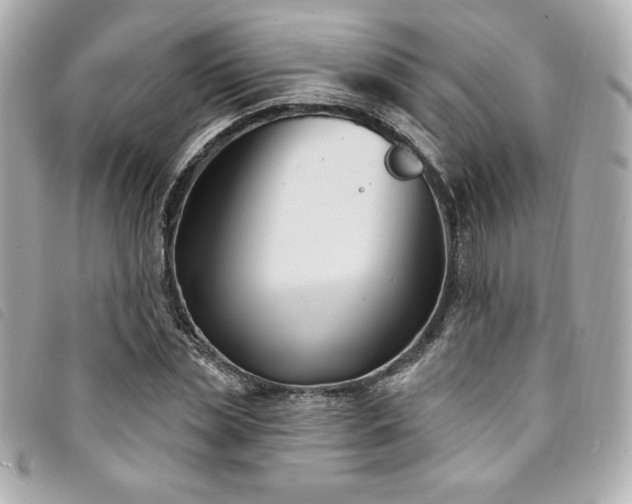 X0000094230829200710261254