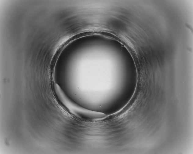 X0000094230831200710261254