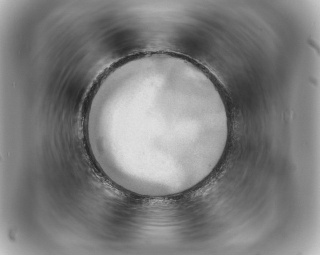 X0000094230832200710261255