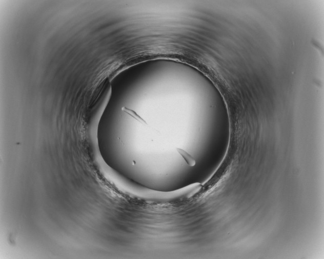 X0000094230833200710261255