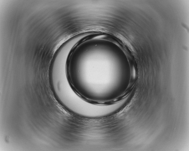 X0000094230834200710261255
