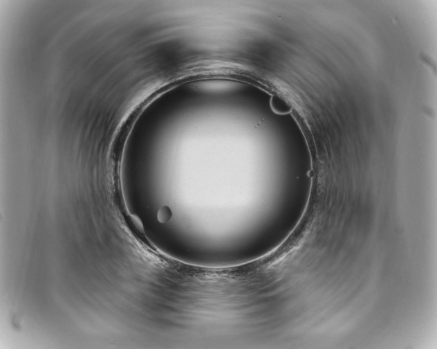 X0000094230835200710261255