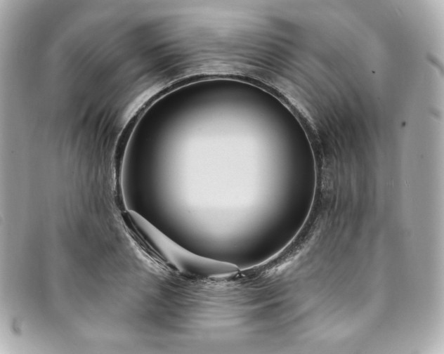 X0000094230837200710261255