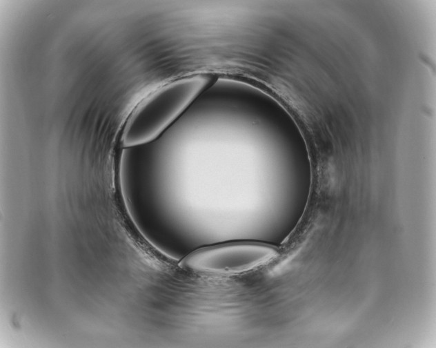 X0000094230838200710261255