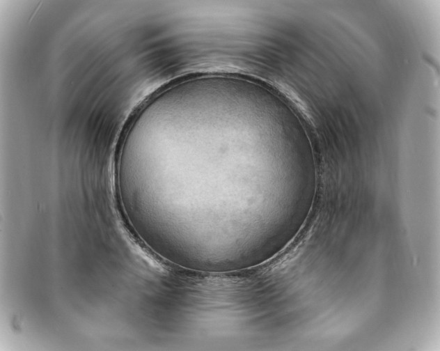 X0000094230840200710261255
