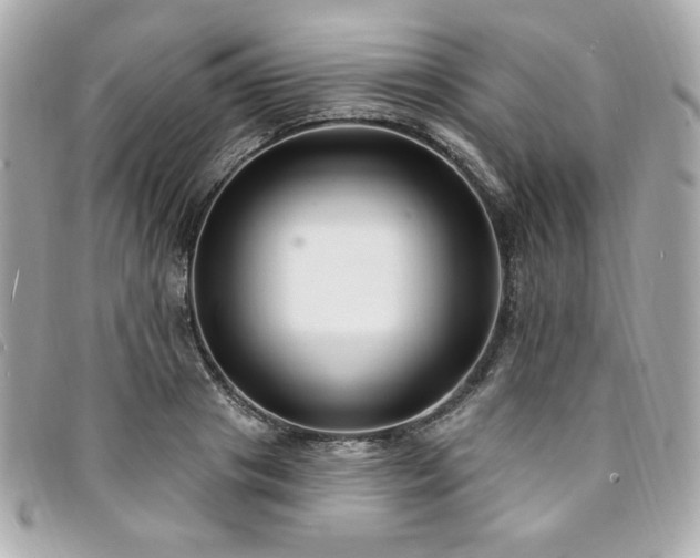 X0000094230841200710261255