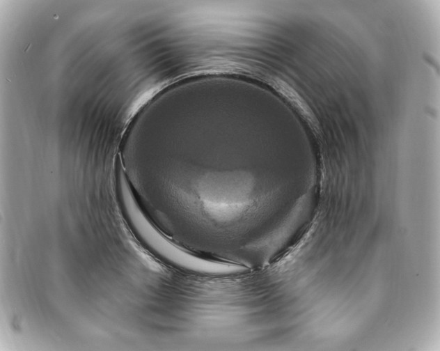 X0000094230842200710261255