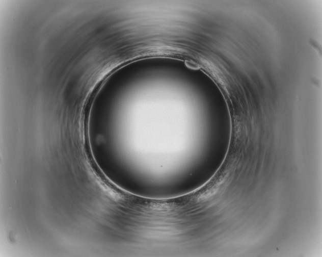X0000094230843200710261255