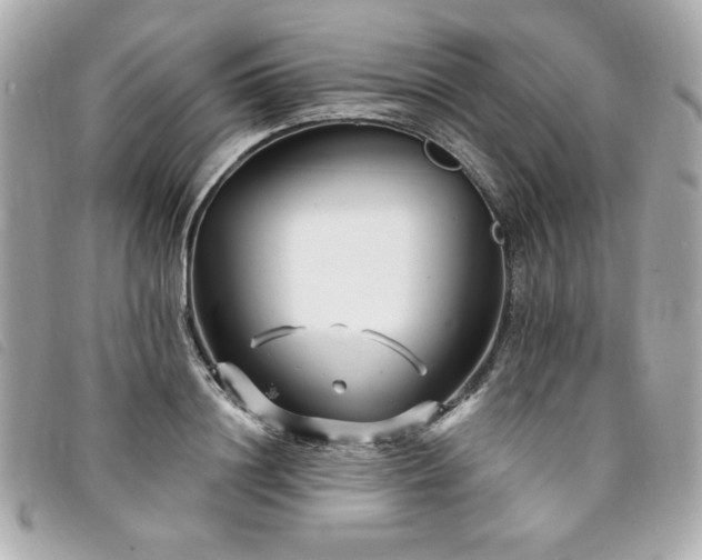 X0000094230844200710261255