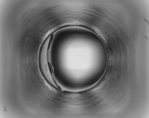 X0000094230845200710261255