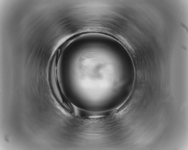 X0000094230846200710261255