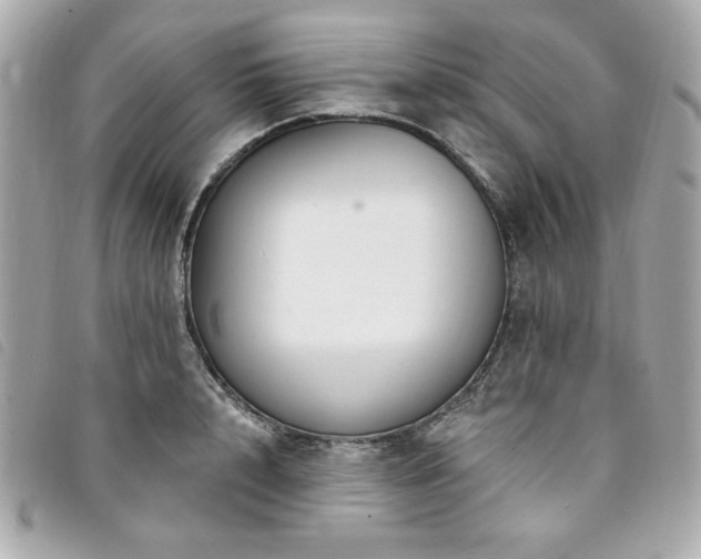 X0000094230848200710261255