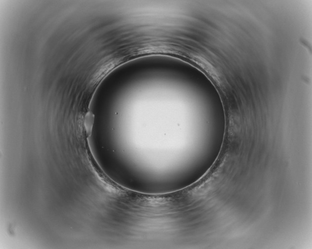 X0000094230849200710261255