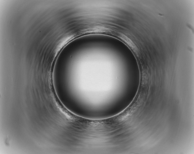 X0000094230850200710261255