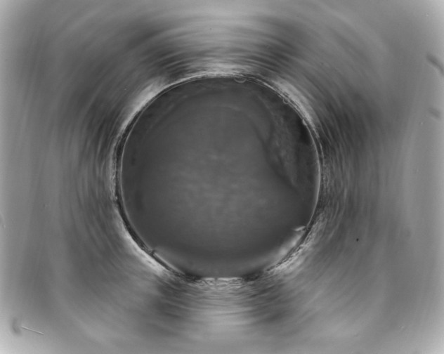 X0000094230851200710261255
