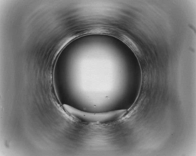 X0000094230852200710261255