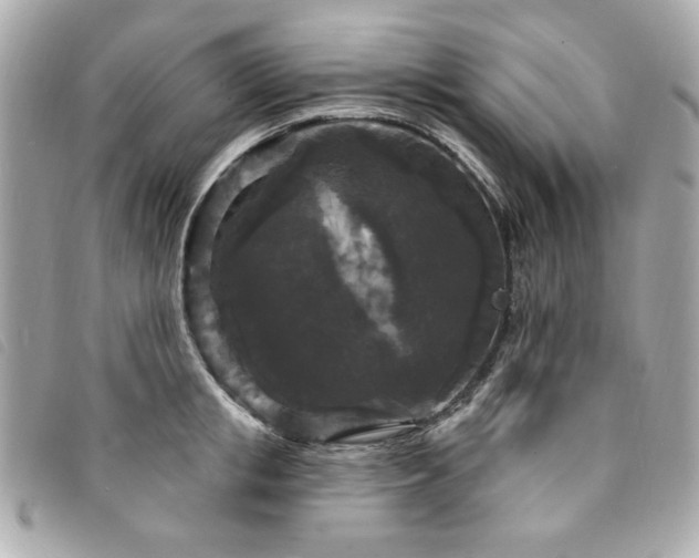 X0000094230853200710261255