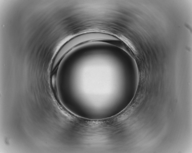 X0000094230854200710261255