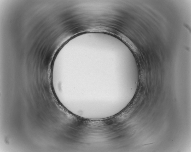 X0000094230856200710261255