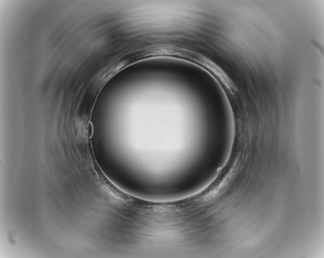 X0000094230857200710261255