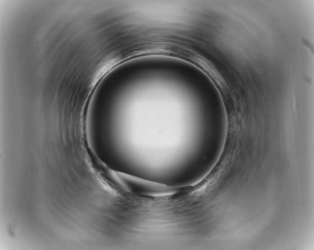 X0000094230858200710261255