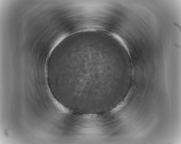X0000094230859200710261255