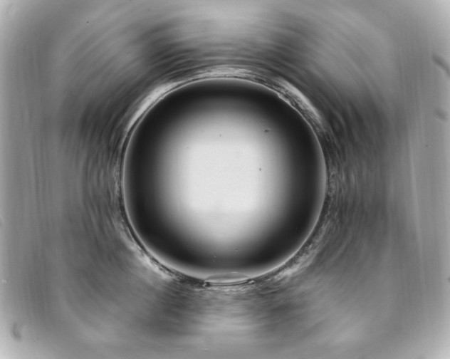 X0000094230860200710261255