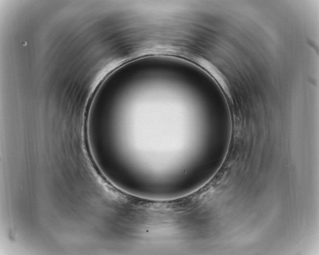 X0000094230861200710261255