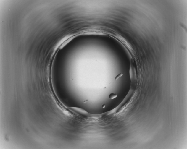 X0000094230862200710261255