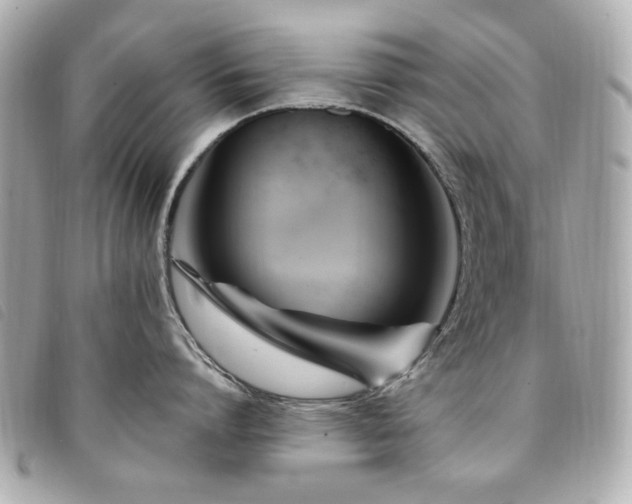 X0000094230864200710261255