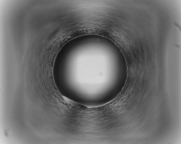 X0000094230865200710261254