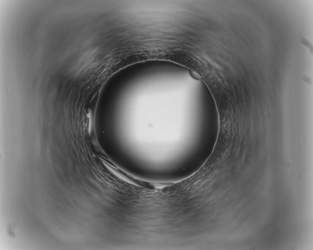 X0000094230866200710261254