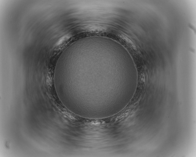 X0000094230869200710261254