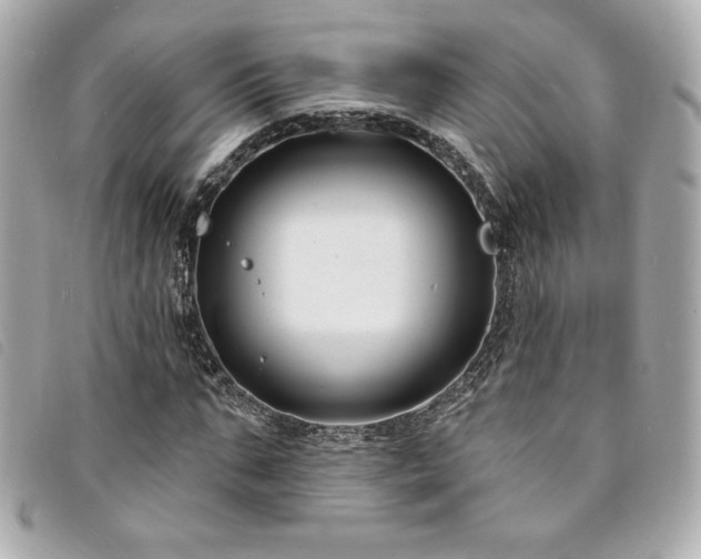 X0000094230871200710261254