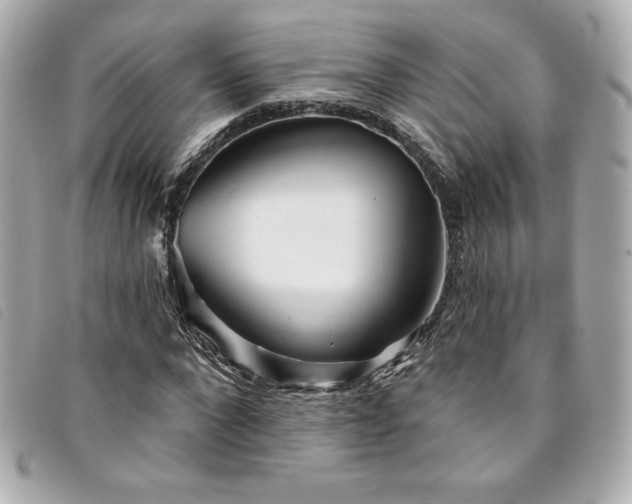 X0000094230872200710261254