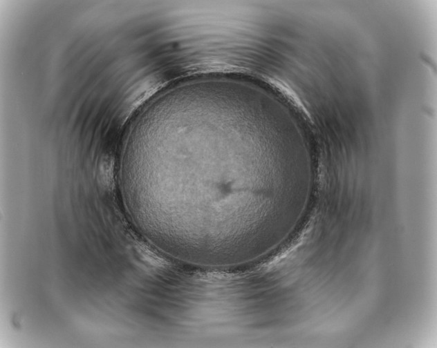 X0000094230873200710261254