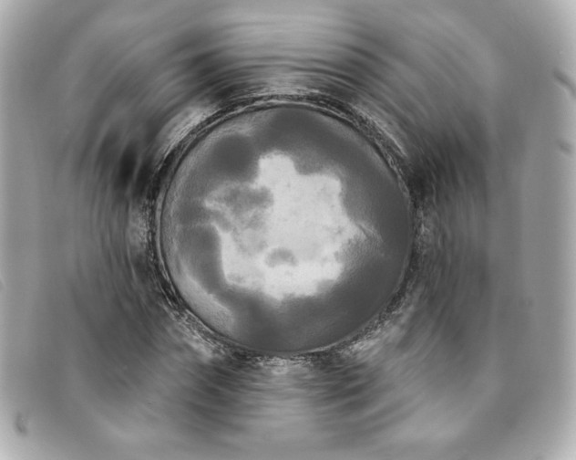 X0000094230874200710261254