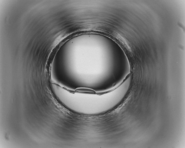 X0000094230876200710261254