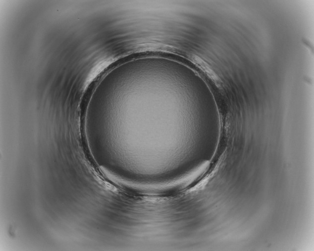 X0000094230877200710261254