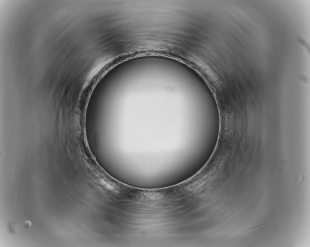 X0000094230878200710261254