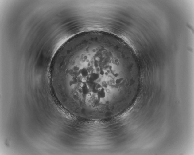 X0000094230879200710261254