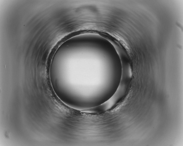 X0000094230880200710261254