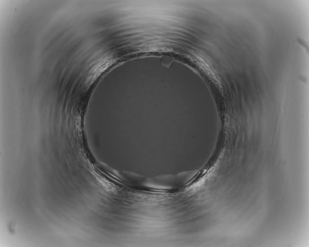 X0000094230881200710261254