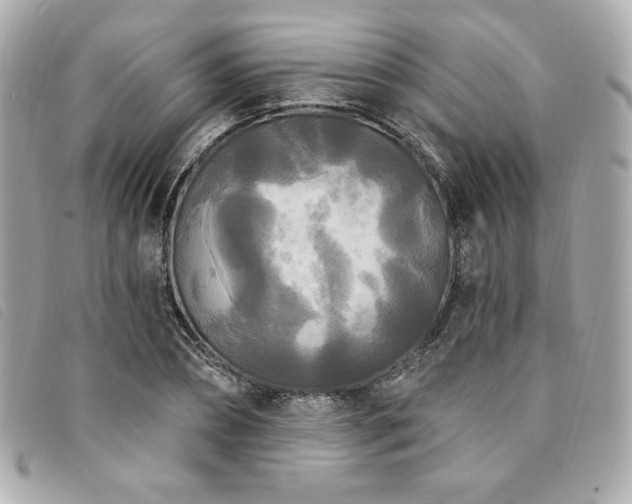X0000094230882200710261254
