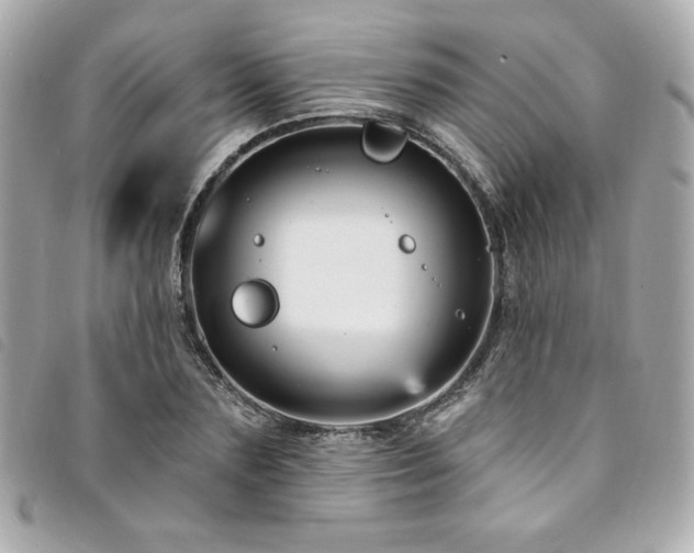 X0000094230883200710261254