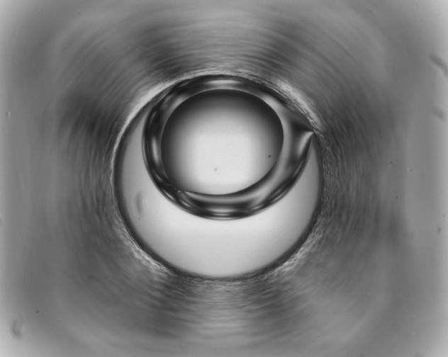 X0000094230884200710261254