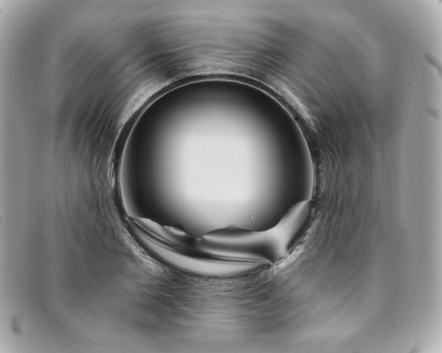 X0000094230885200710261254